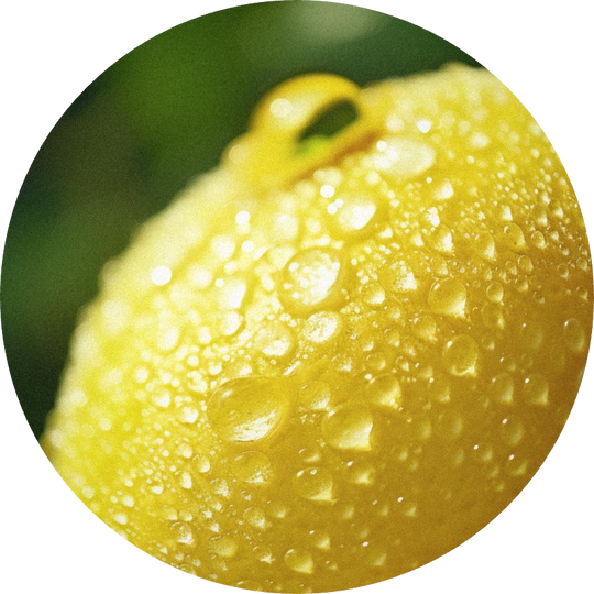 Yuzu Zest